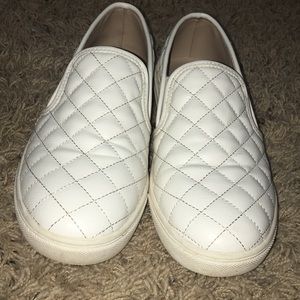 Steve Madden ECENTRCQ White sneakers